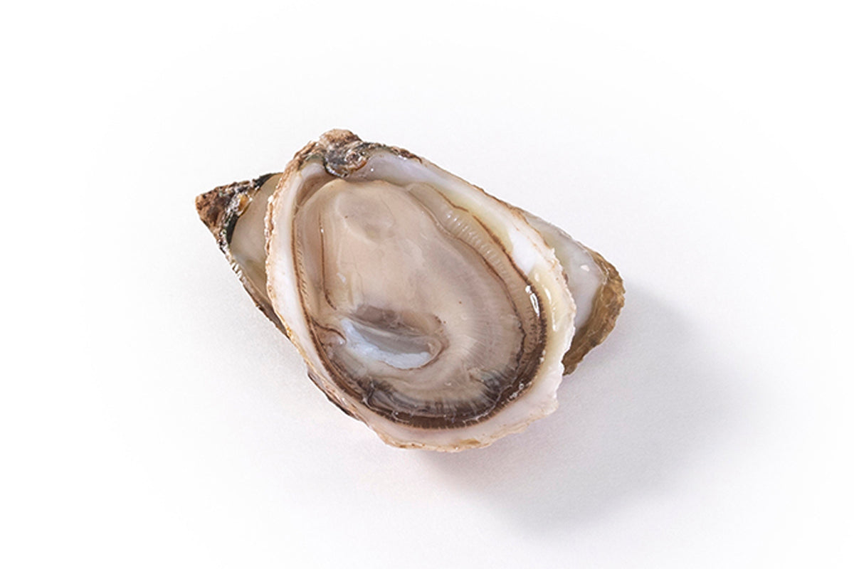BARSTOOL COCKTAILS (Malpeque Oysters) AtlanticAquaFarms